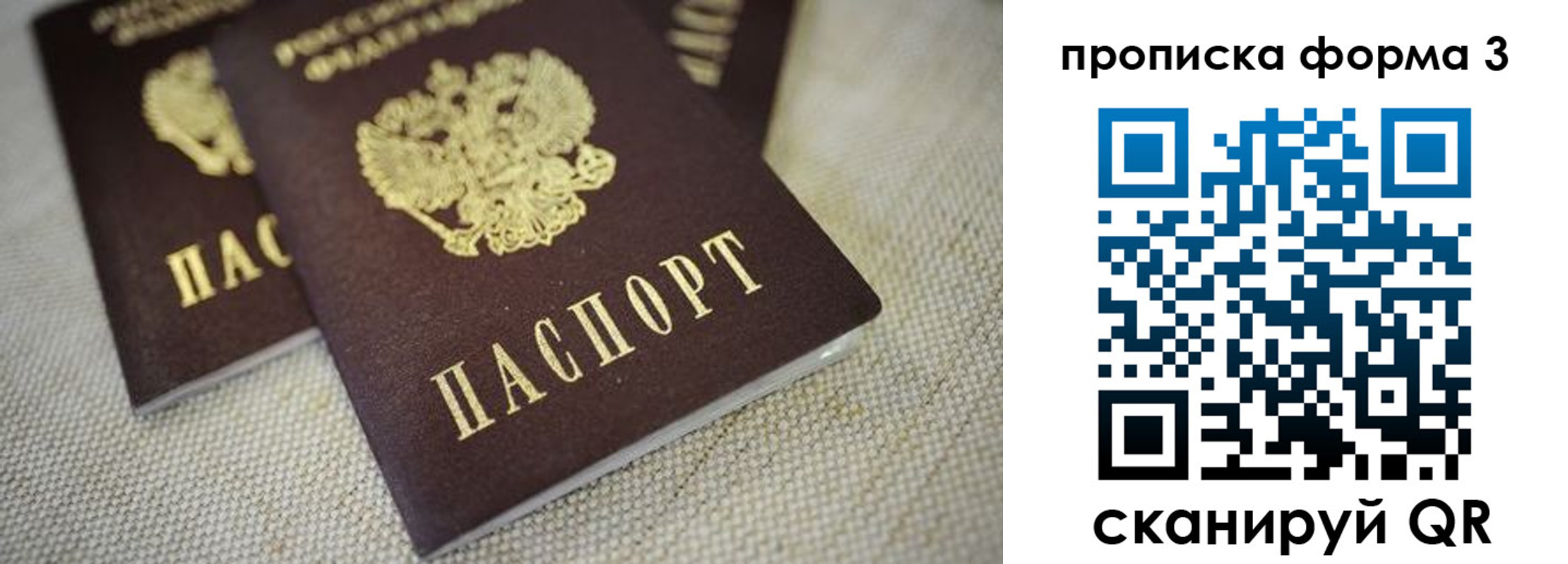 прописка поиск в Пермской области